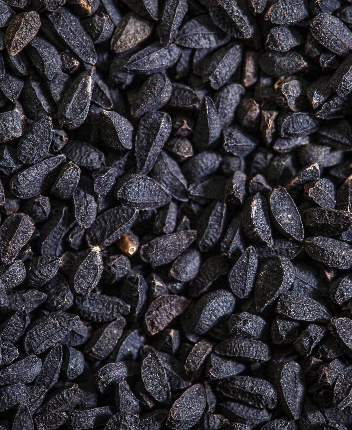 black cumin seeds